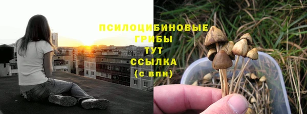 прущие крисы Горнозаводск