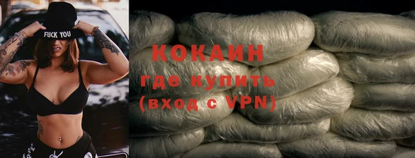 прущие грибы Горняк