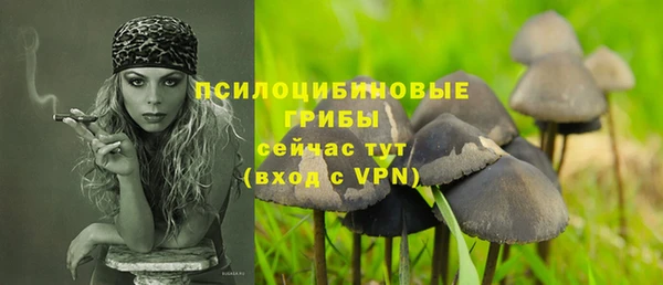 прущие грибы Горняк
