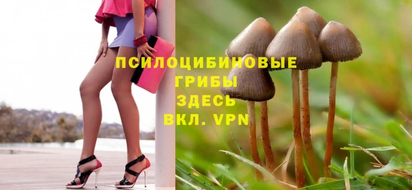прущие крисы Горнозаводск