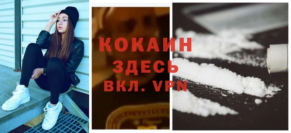 прущие грибы Горняк