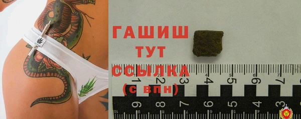 прущие грибы Горняк