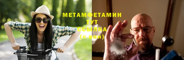 прущие грибы Горняк