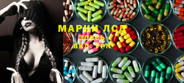 прущие грибы Горняк
