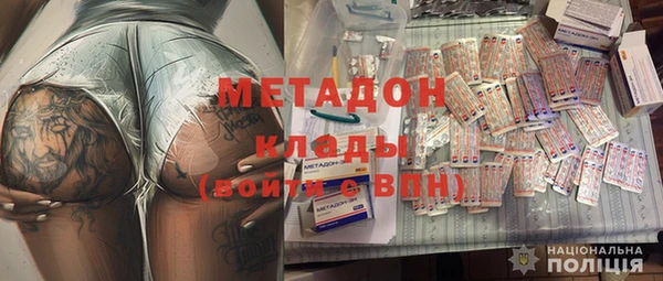 прущие грибы Горняк