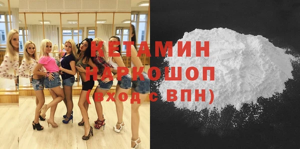 прущие грибы Горняк