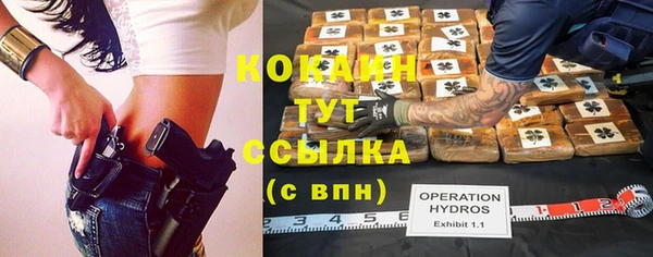 прущие грибы Горняк