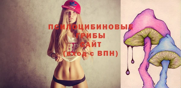 прущие грибы Горняк