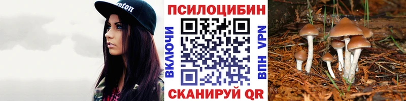 кракен   Брюховецкая  Псилоцибиновые грибы Magic Shrooms 
